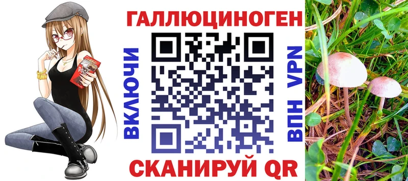 Галлюциногенные грибы мицелий Мещовск