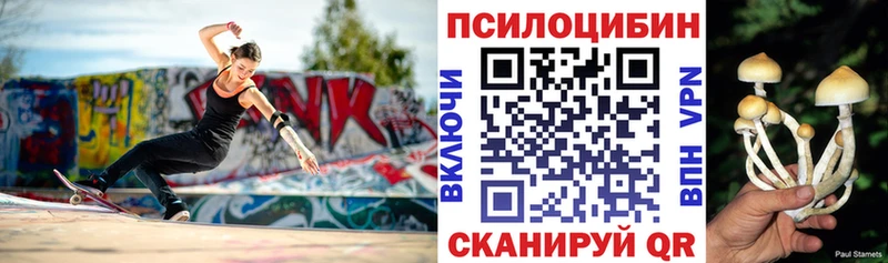 Псилоцибиновые грибы Psilocybe  Мещовск 